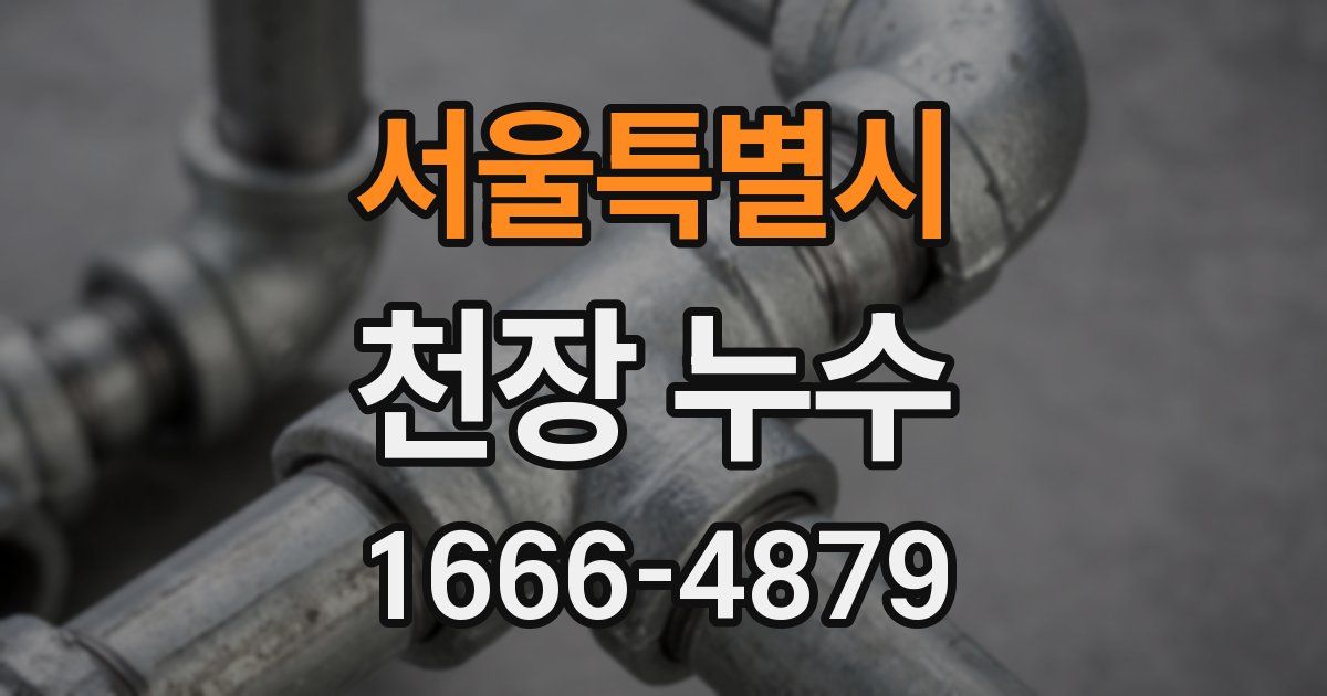 서울특별시 천장 누수
