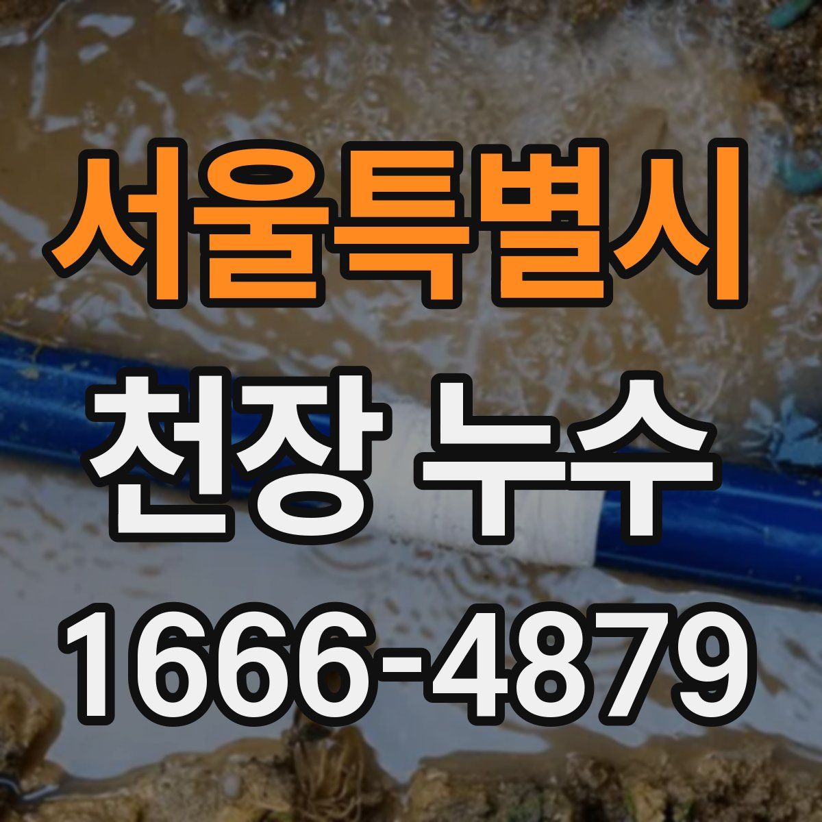 서울특별시 천장 누수