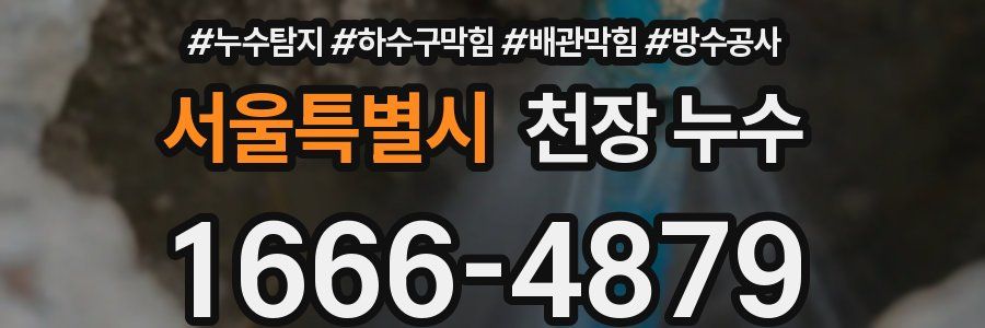 서울특별시 천장 누수