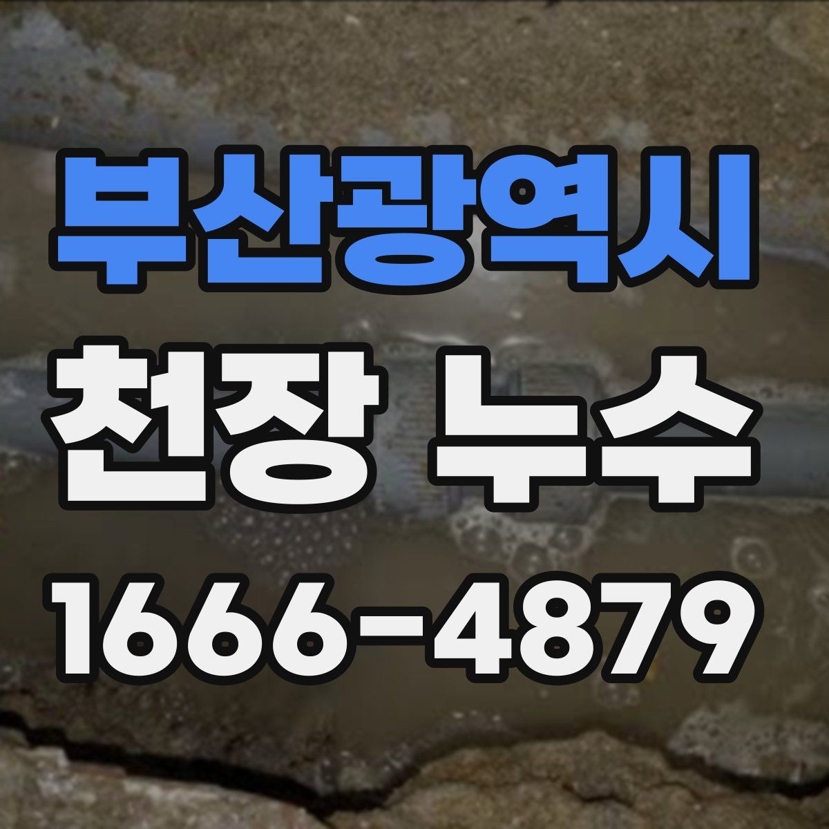 부산광역시 천장 누수