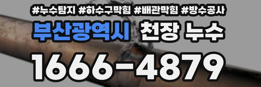 부산광역시 천장 누수