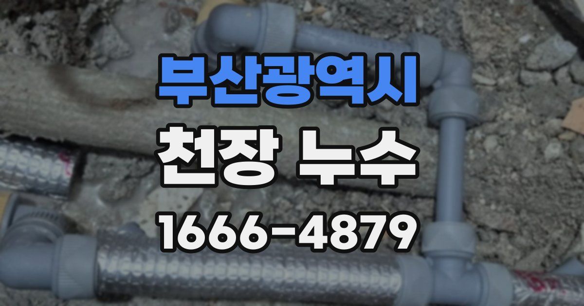 부산광역시 천장 누수