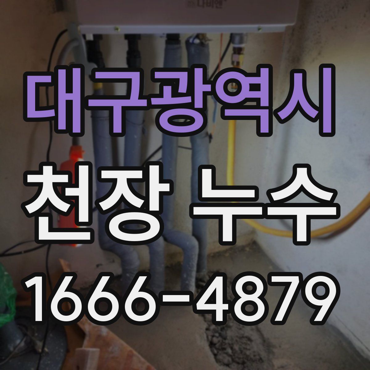 대구광역시 천장 누수