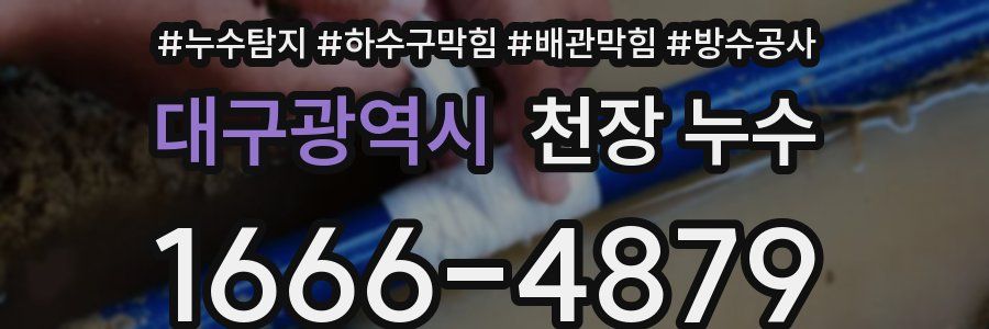 대구광역시 천장 누수