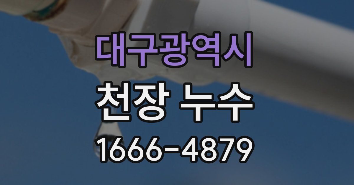 대구광역시 천장 누수
