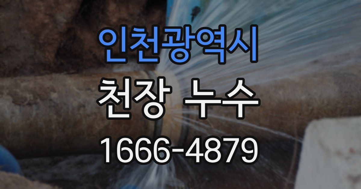 인천광역시 천장 누수