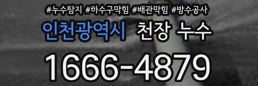 인천광역시 천장 누수