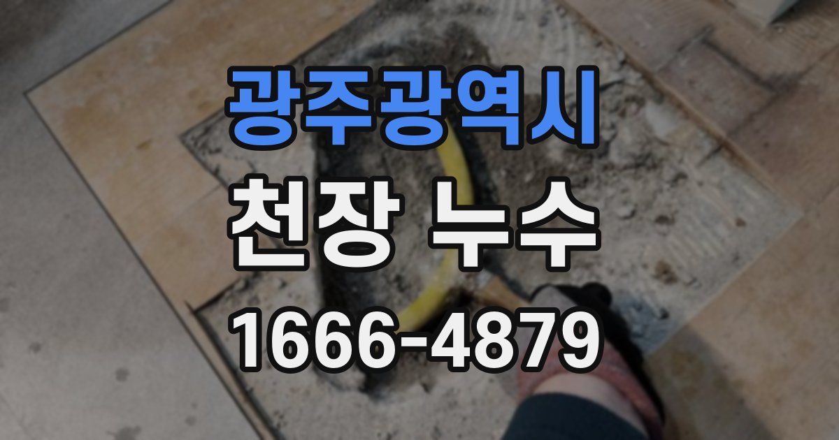 광주광역시 천장 누수