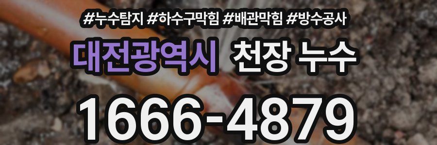 대전광역시 천장 누수