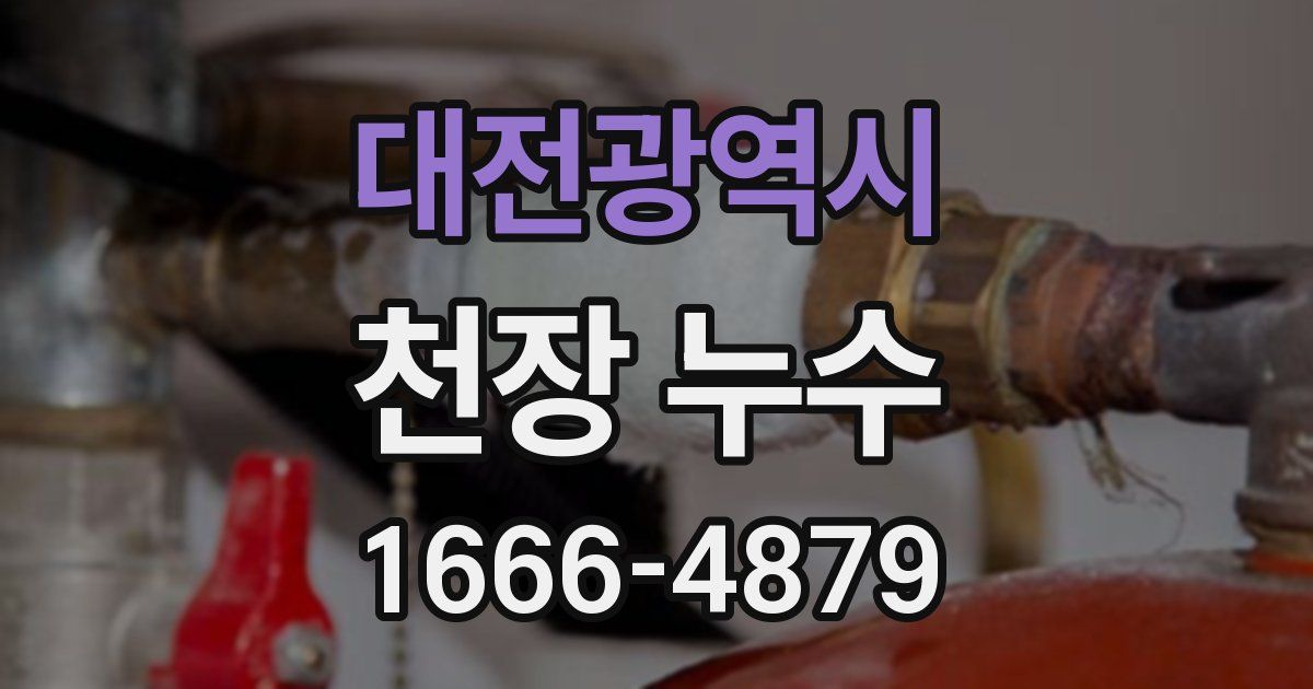 대전광역시 천장 누수