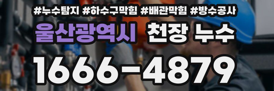울산광역시 천장 누수