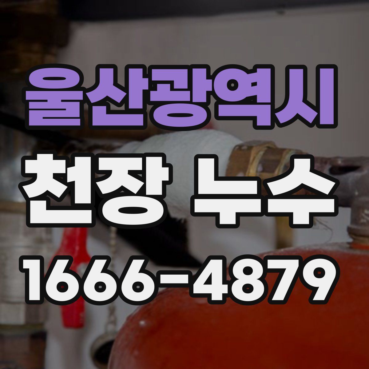 울산광역시 천장 누수