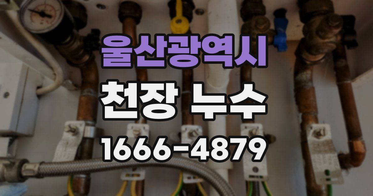 울산광역시 천장 누수