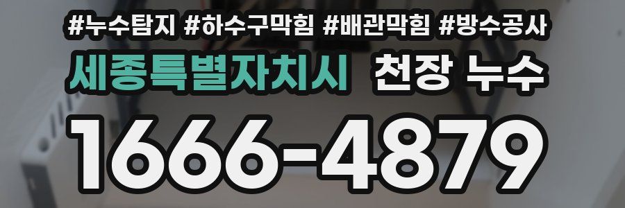 세종특별자치시 천장 누수