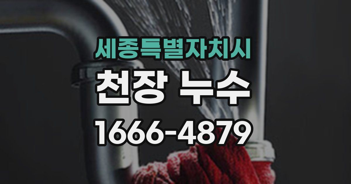 세종특별자치시 천장 누수