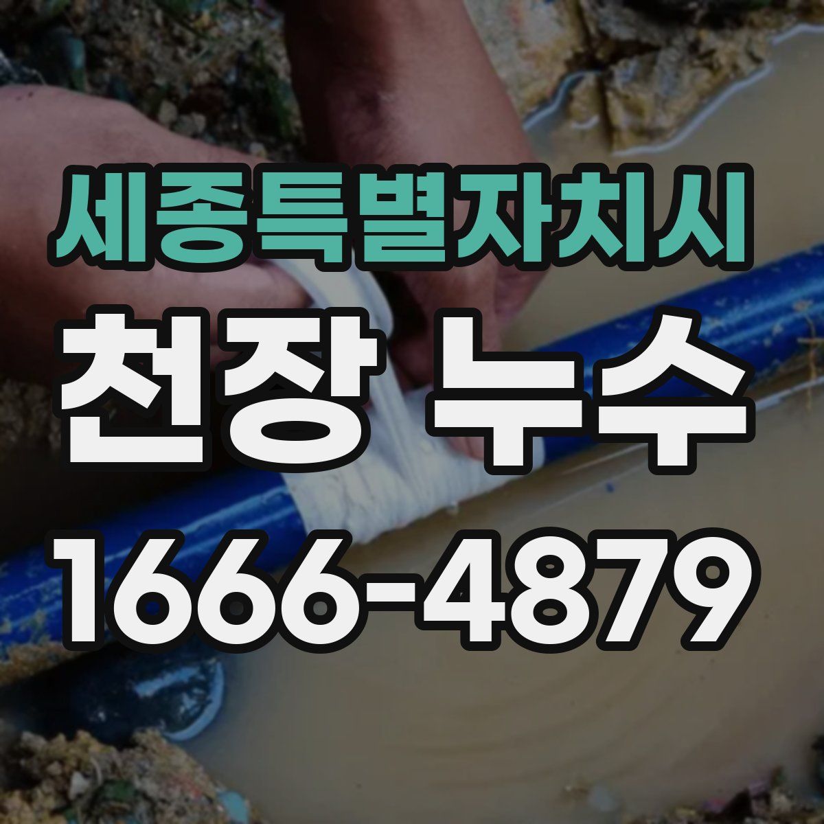 세종특별자치시 천장 누수
