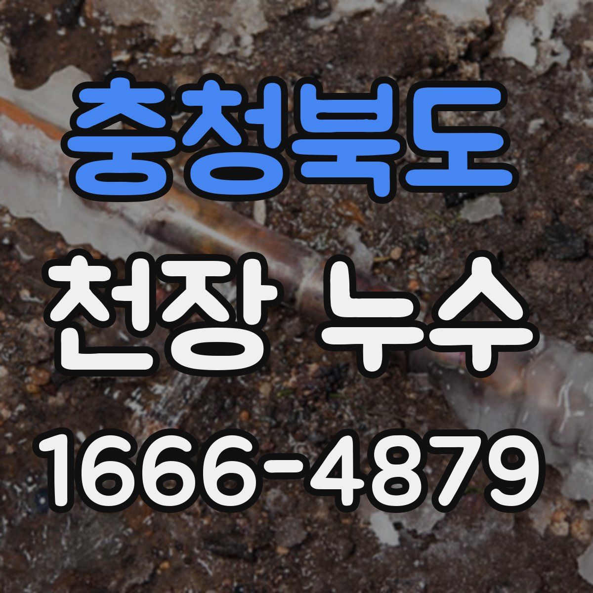 충청북도 천장 누수
