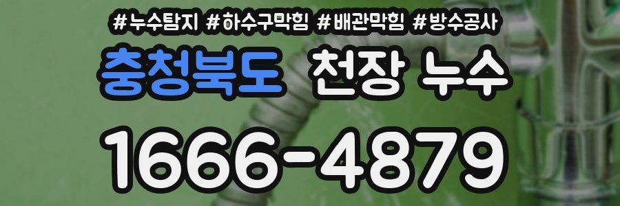 충청북도 천장 누수