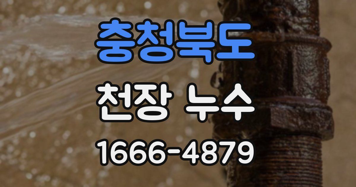 충청북도 천장 누수