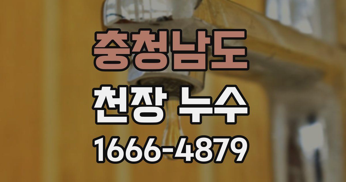 충청남도 천장 누수