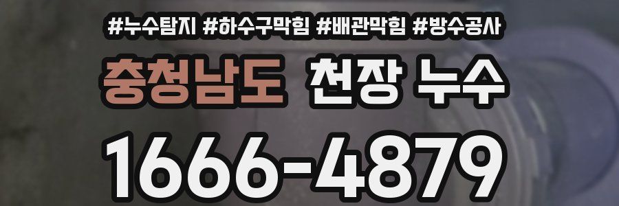 충청남도 천장 누수
