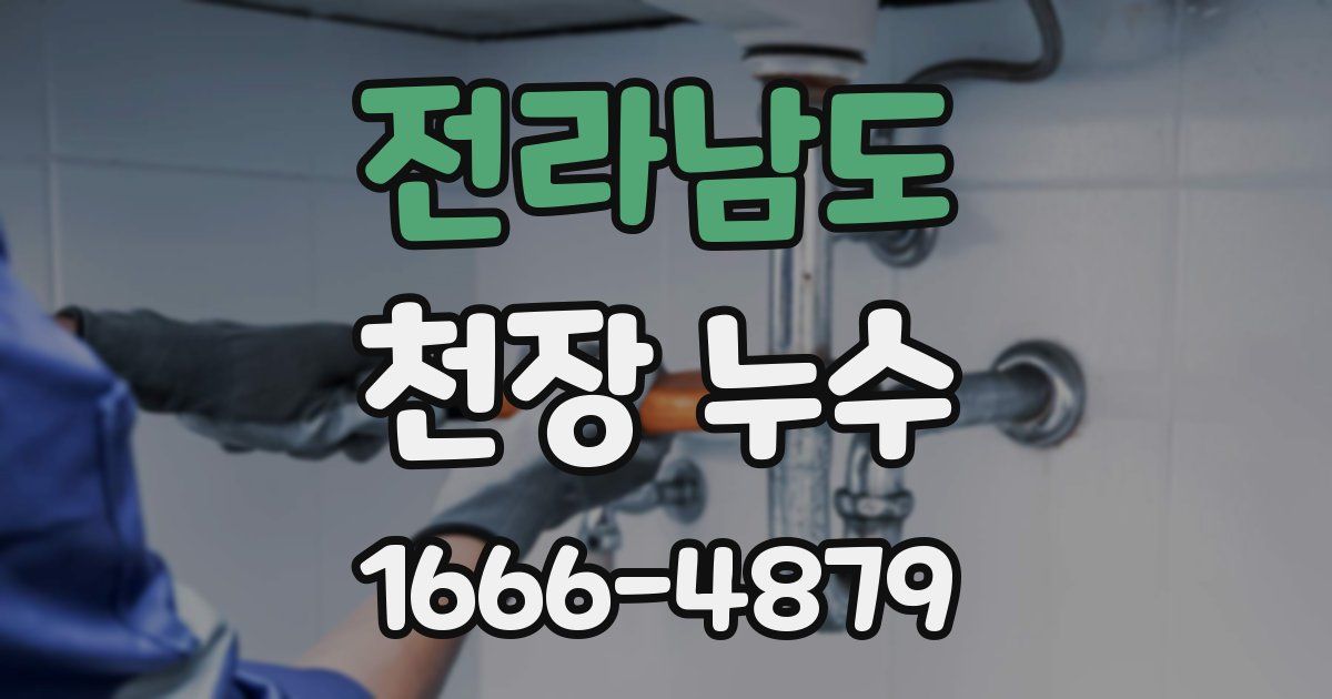 전라남도 천장 누수