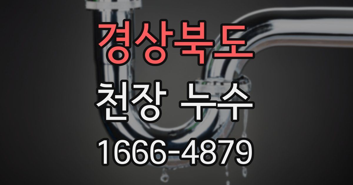경상북도 천장 누수