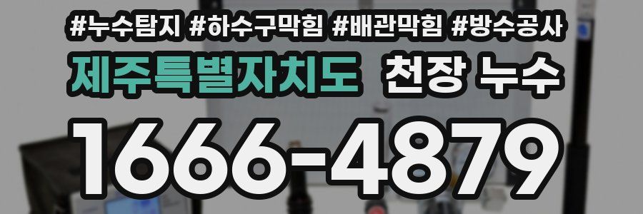 제주특별자치도 천장 누수