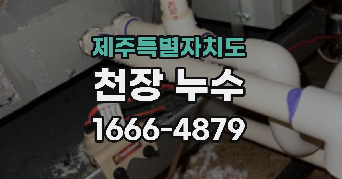제주특별자치도 천장 누수