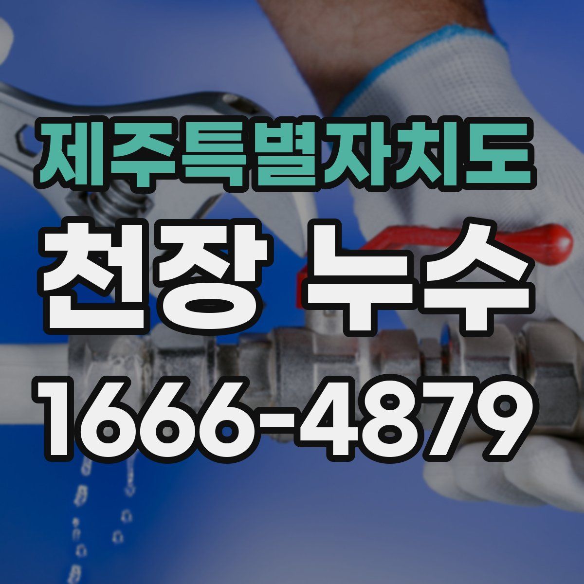 제주특별자치도 천장 누수