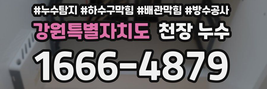 강원특별자치도 천장 누수