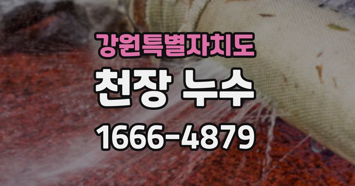 강원특별자치도 천장 누수
