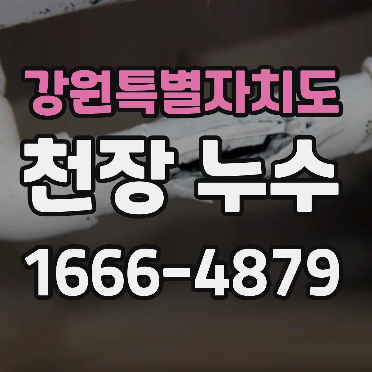 강원특별자치도 천장 누수