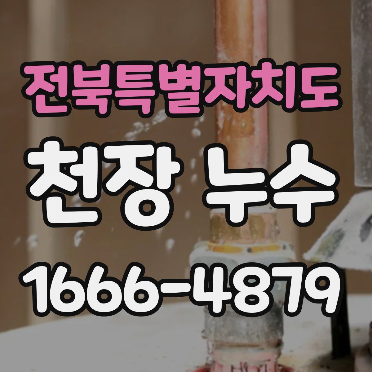 전북특별자치도 천장 누수