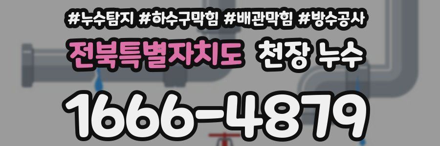 전북특별자치도 천장 누수