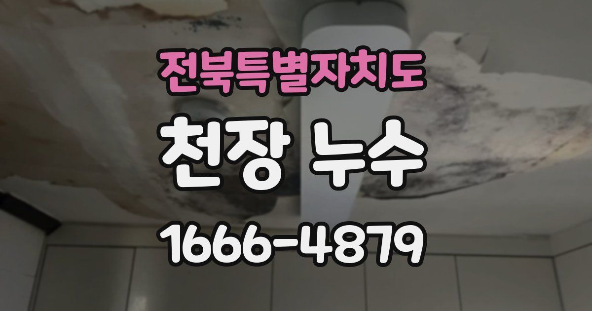 전북특별자치도 천장 누수