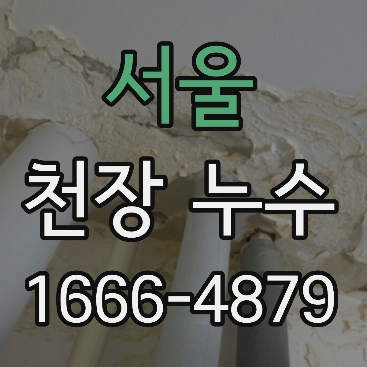 서울 천장 누수