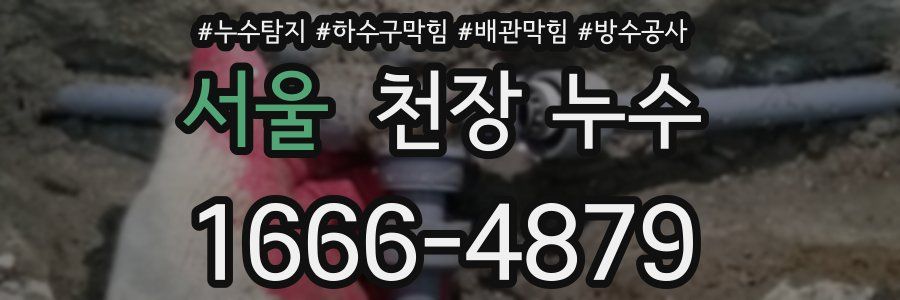 서울 천장 누수