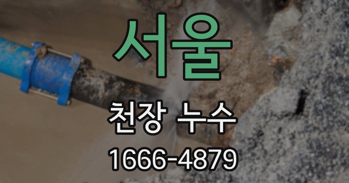 서울 천장 누수