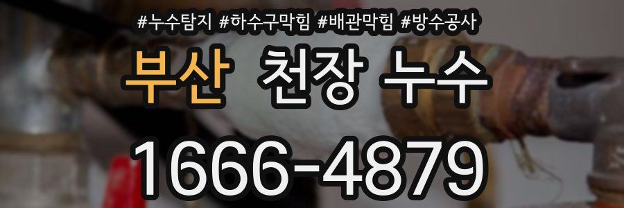 부산 천장 누수