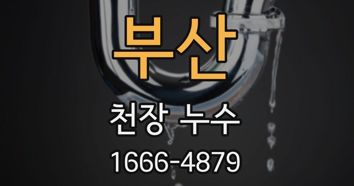부산 천장 누수
