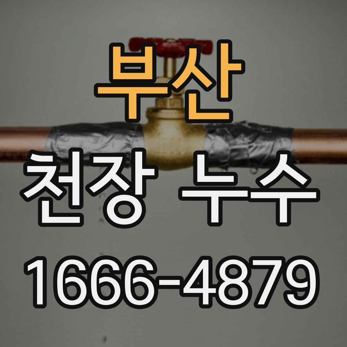 부산 천장 누수