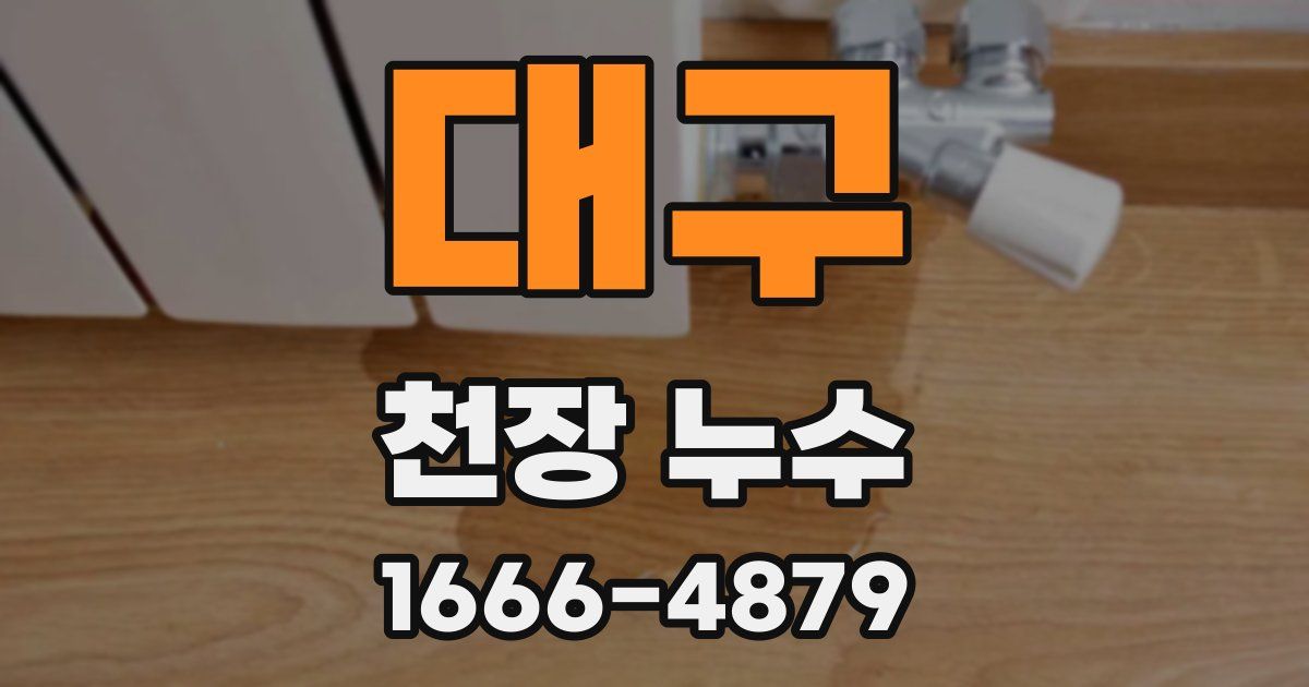 대구 천장 누수