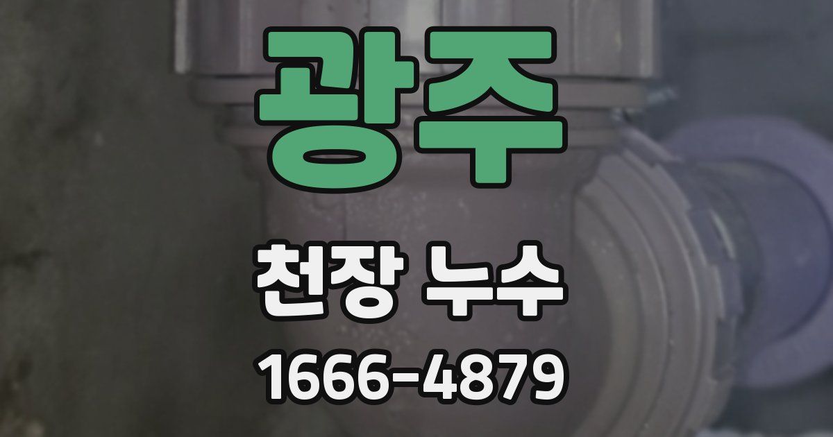 광주 천장 누수