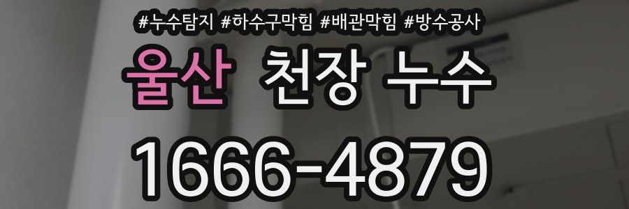 울산 천장 누수