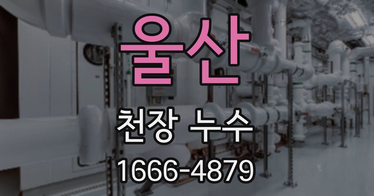 울산 천장 누수