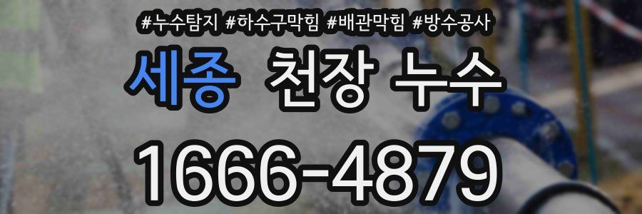 세종 천장 누수