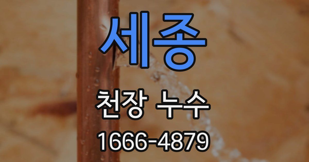 세종 천장 누수