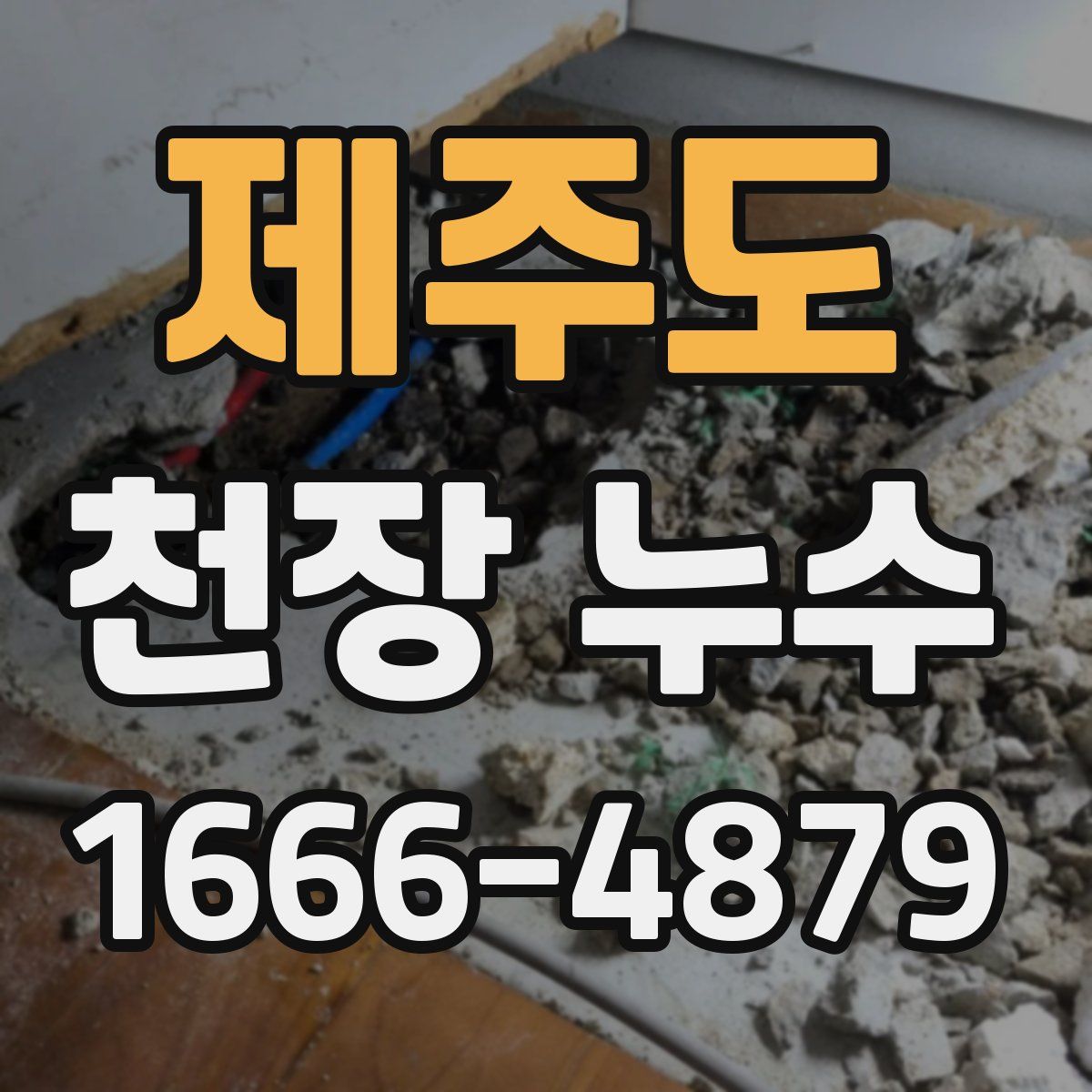 제주도 천장 누수