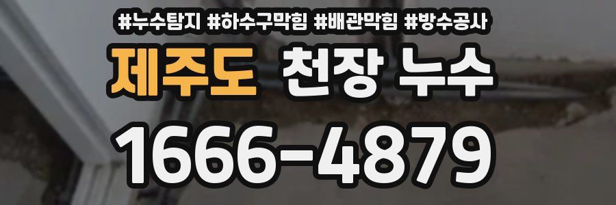 제주도 천장 누수